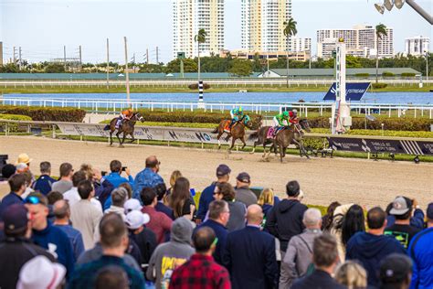 pegasus world cup 2023 tickets
